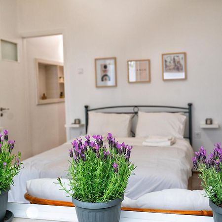 Lux Garden Apartment Near Acropolis In The Heart Of Atina Dış mekan fotoğraf