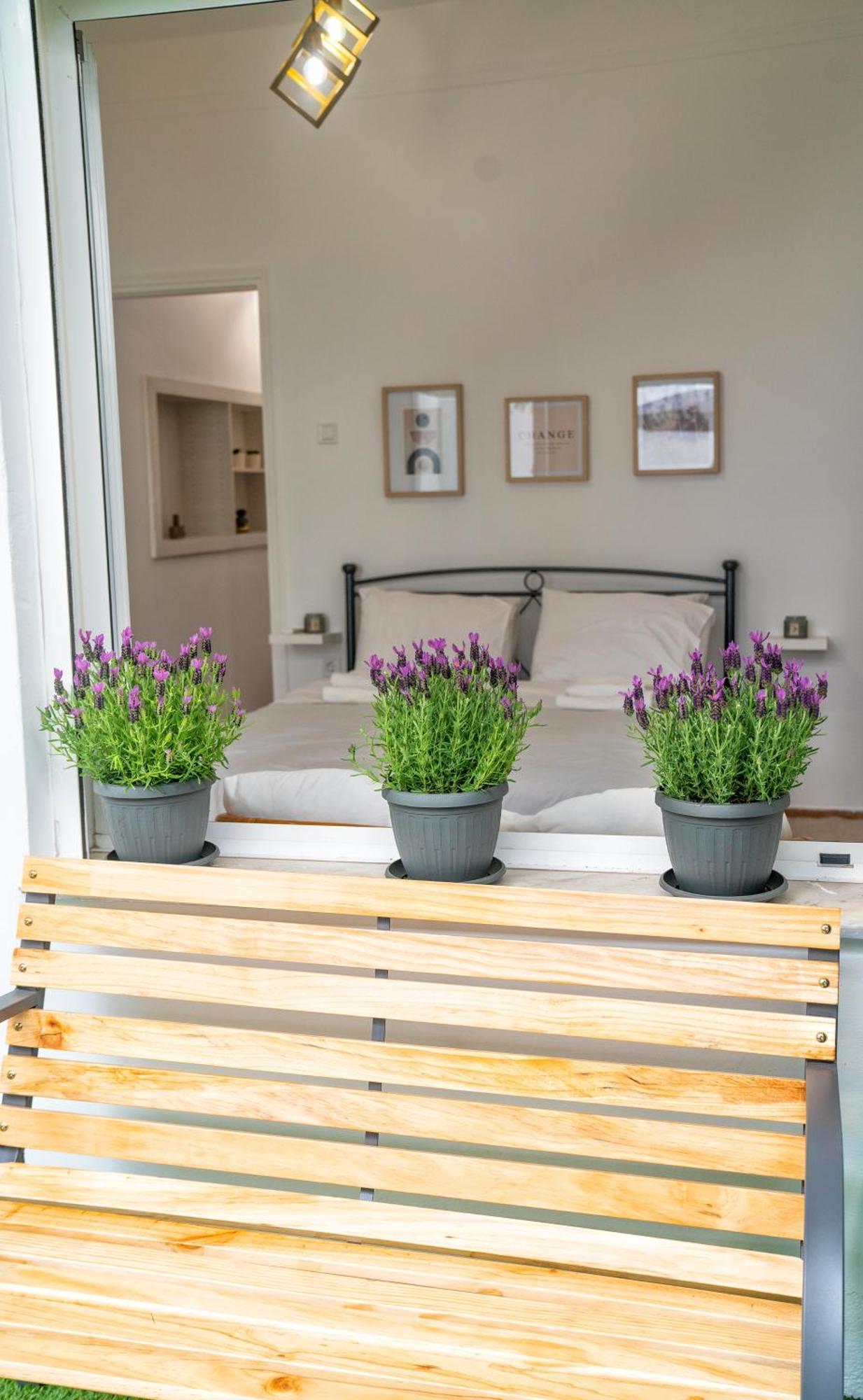 Lux Garden Apartment Near Acropolis In The Heart Of Atina Dış mekan fotoğraf